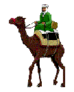 camel1.gif (3903 bytes)
